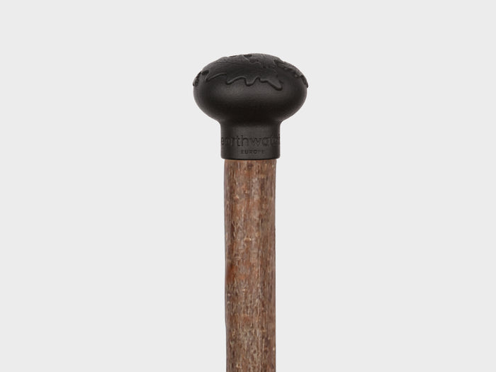 Earthwatch walking sticks