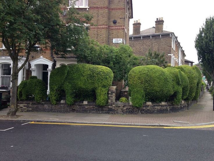 Designs We Love: Local Londoner Tim Bushe’s Elephant Hedges