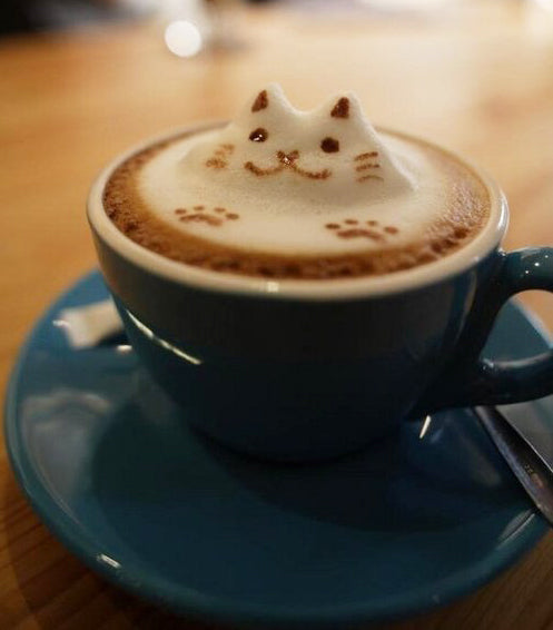 Photo Friday – Fancy A Catpuccino?