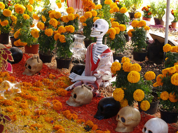 Day of the Dead altar with a seated skeleton figure, painted skulls and orange marigolds