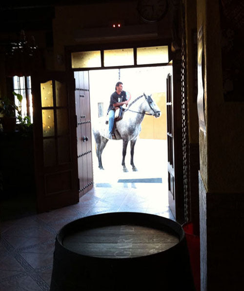 Caballero on a Horse, Drinking a Beer!