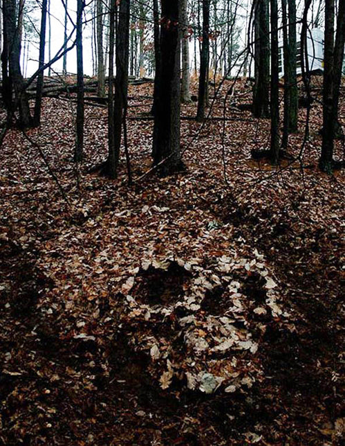 Skull In The Woods, Naturally…