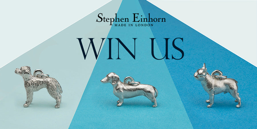 Three silver dog charms, a cockapoo, a dachshund and a French bulldog, under the words Win Us