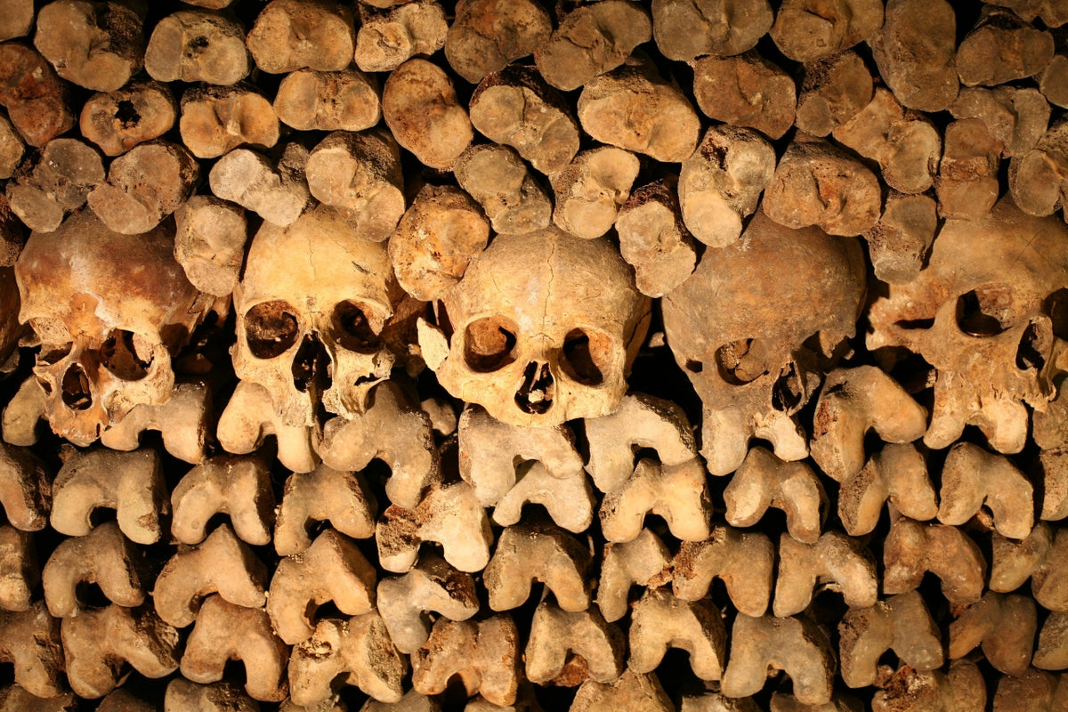 Rows of human skulls and bones stacked into the walls of the Paris Catacombs