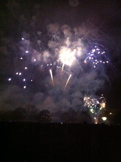 Fireworks bursting in white and violet over a dark park at night