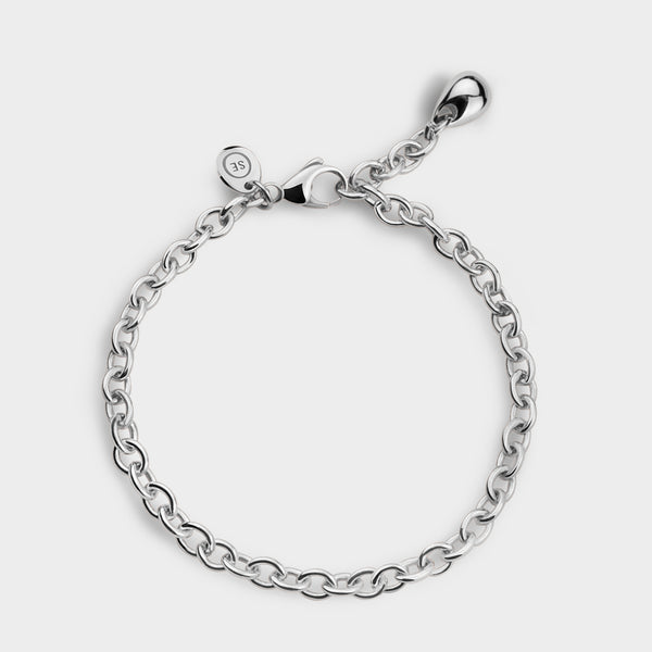 Charm bracelet - Image 1