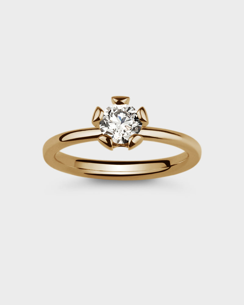 Two different rings