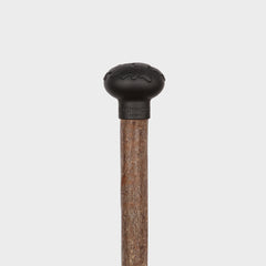 Stephen Einhorn x Earthwatch Walking Sticks Collab