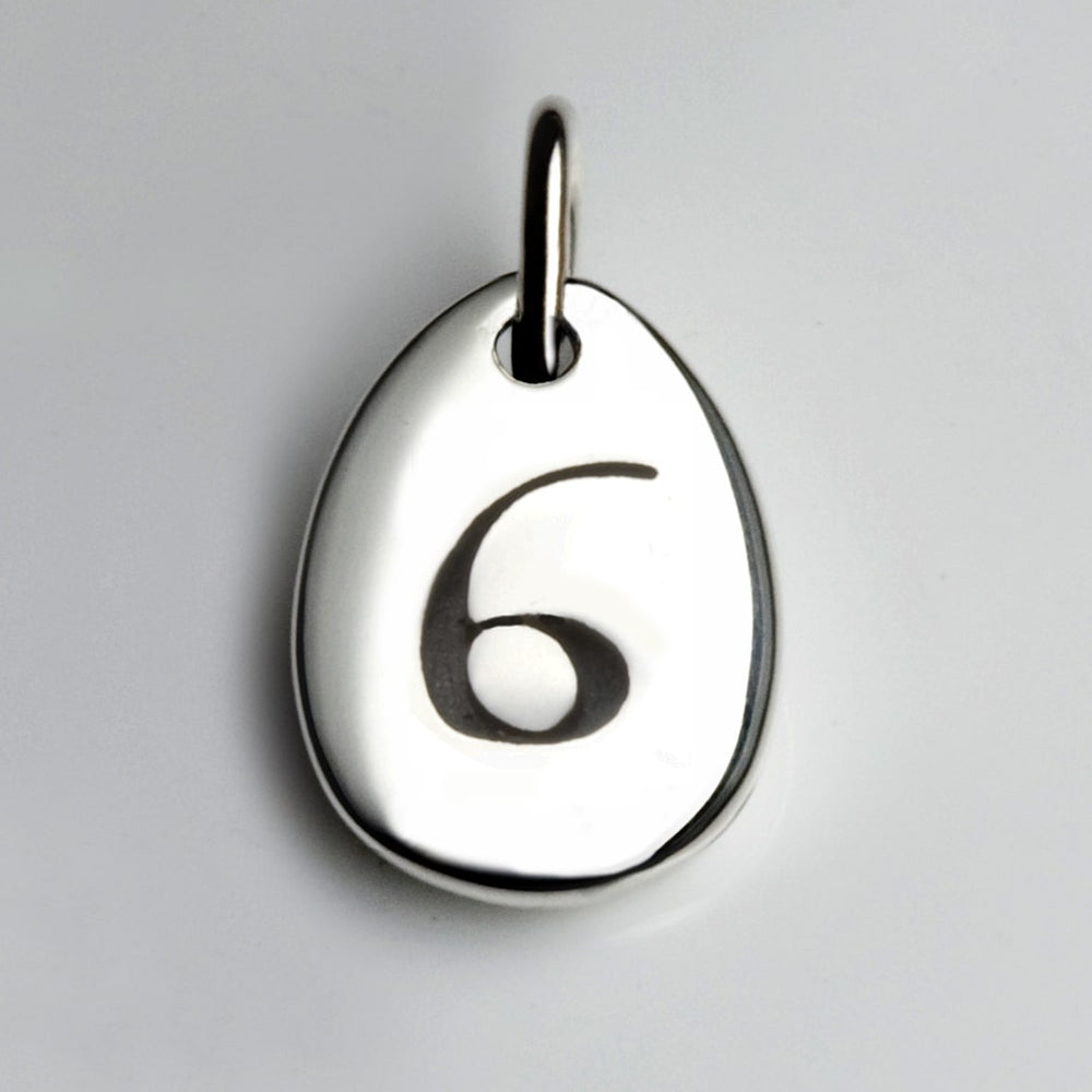 Number Charm - 6