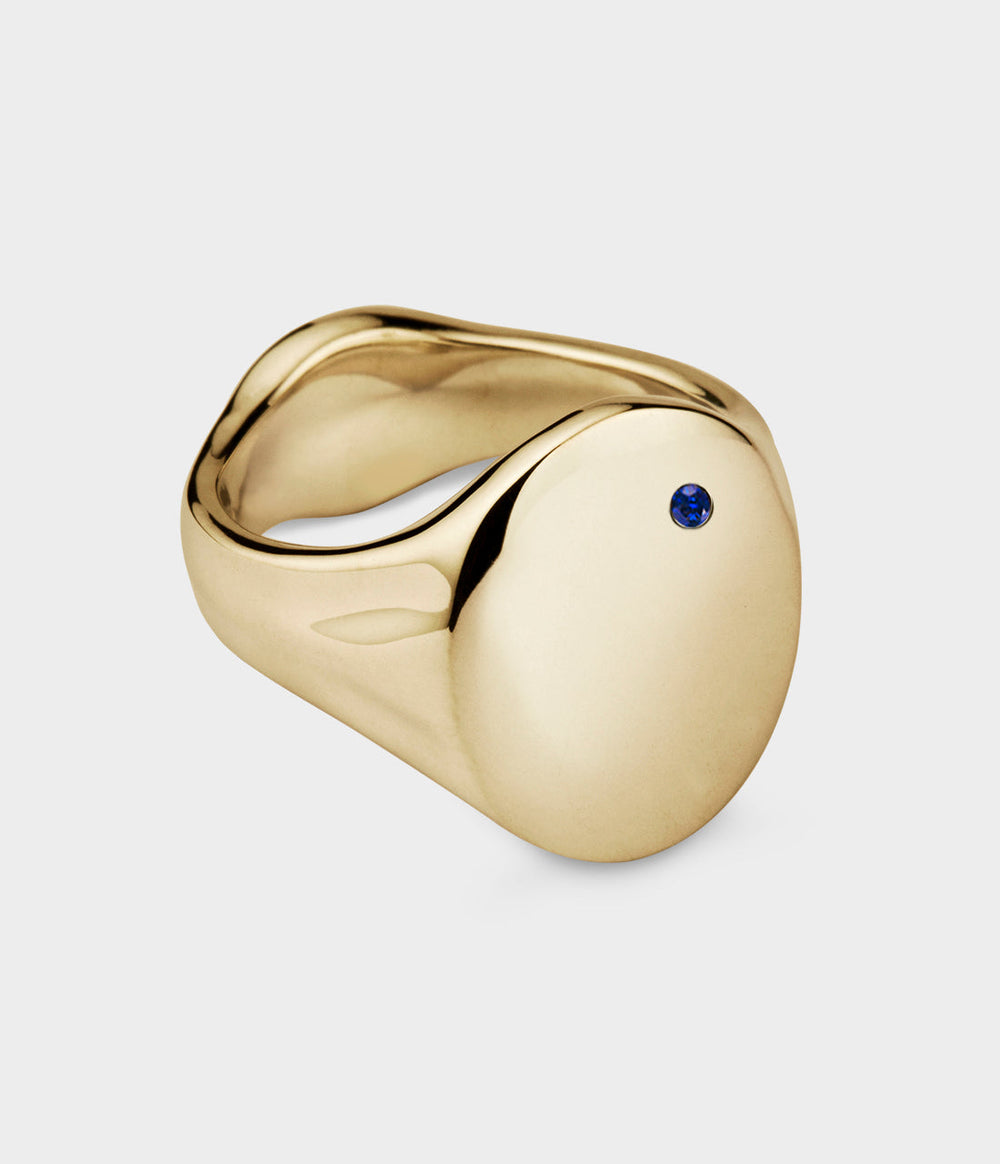 Oval Men's Signet Ring - Alternate View